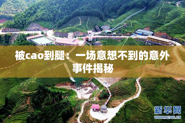被cao到腿：一场意想不到的意外事件揭秘