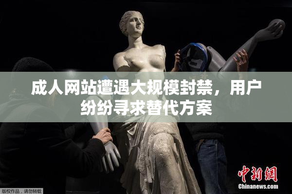 成人网站遭遇大规模封禁，用户纷纷寻求替代方案