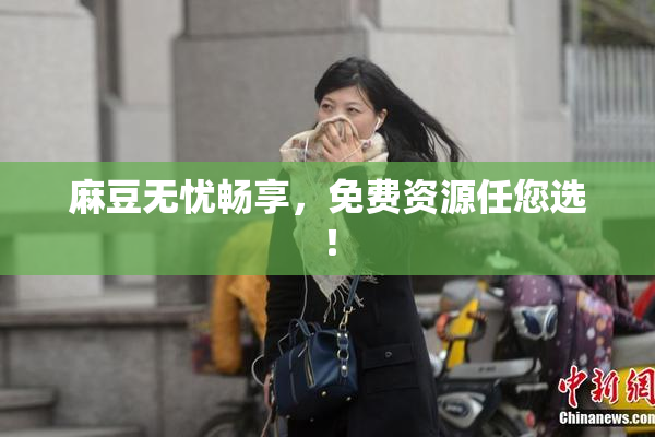 麻豆无忧畅享，免费资源任您选！