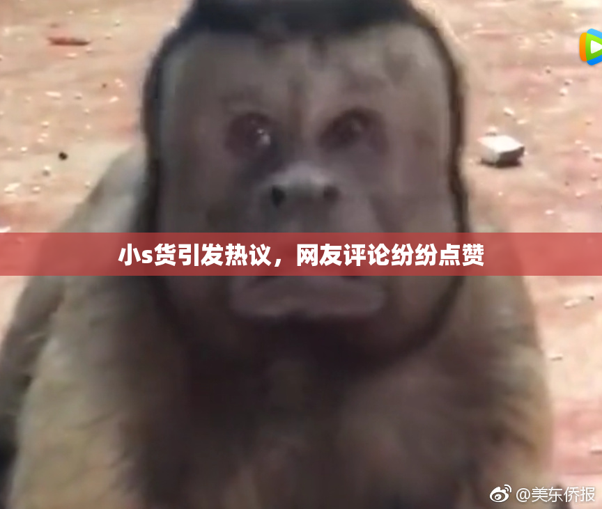 小s货引发热议，网友评论纷纷点赞