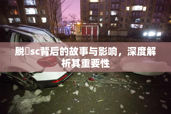 脱糞sc背后的故事与影响，深度解析其重要性