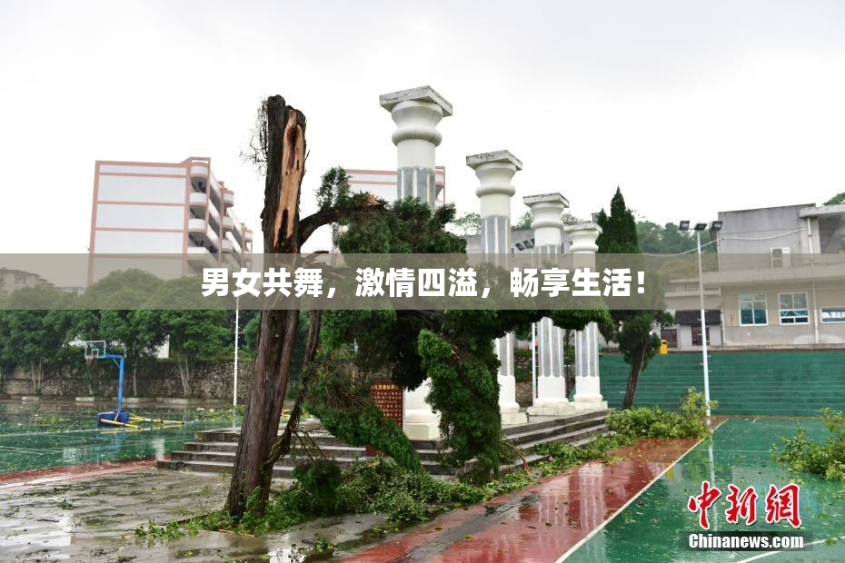 男女共舞，激情四溢，畅享生活！