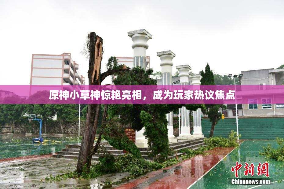 原神小草神惊艳亮相，成为玩家热议焦点