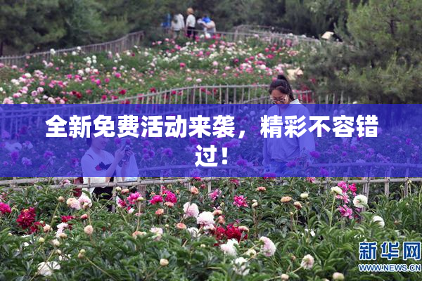 全新免费活动来袭，精彩不容错过！