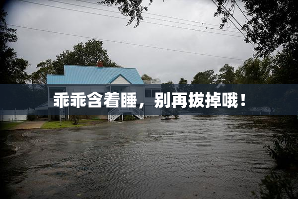 乖乖含着睡，别再拔掉哦！