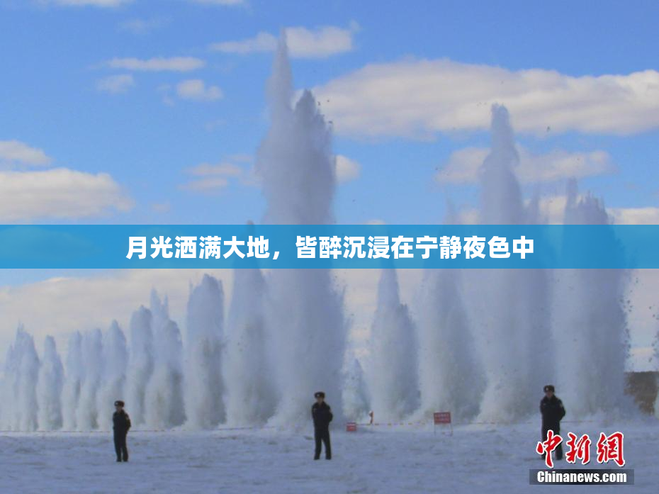 月光洒满大地，皆醉沉浸在宁静夜色中