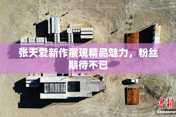 张天爱新作展现精品魅力，粉丝期待不已