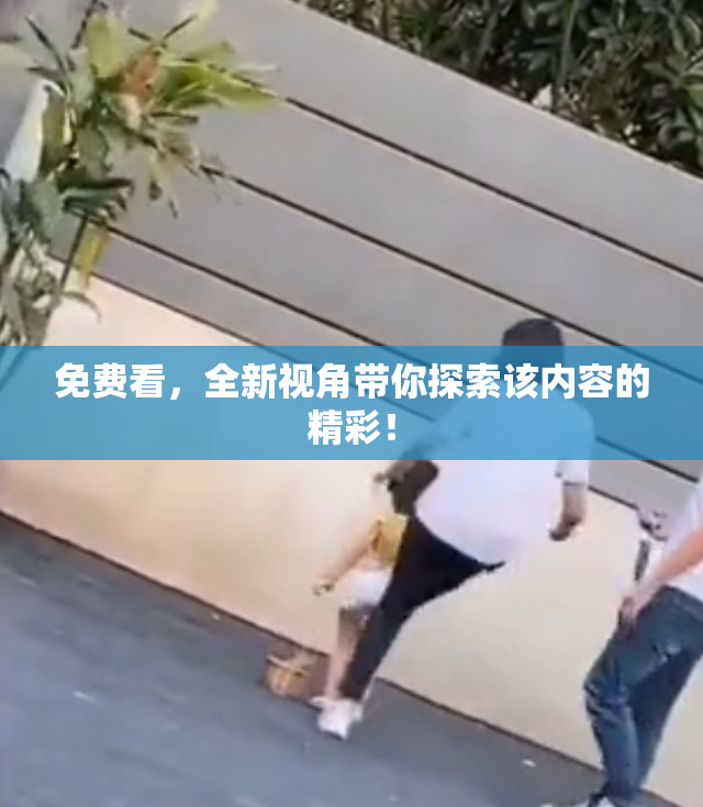 免费看，全新视角带你探索该内容的精彩！