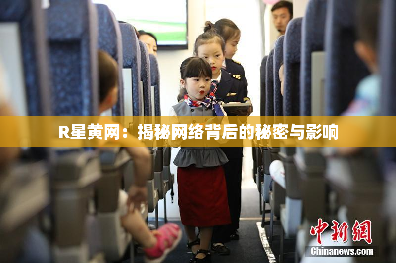 R星黄网：揭秘网络背后的秘密与影响