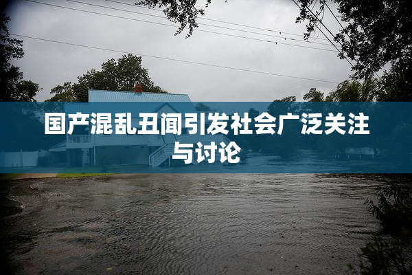 国产混乱丑闻引发社会广泛关注与讨论