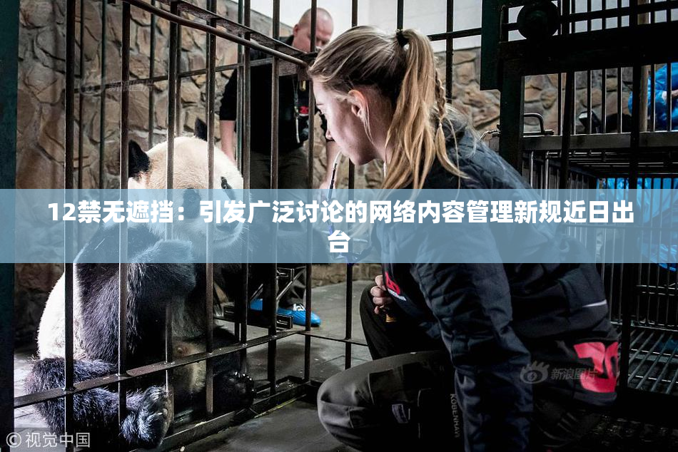 12禁无遮挡：引发广泛讨论的网络内容管理新规近日出台