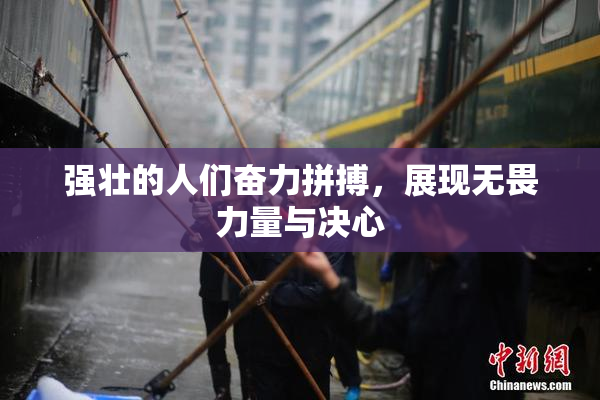 强壮的人们奋力拼搏，展现无畏力量与决心