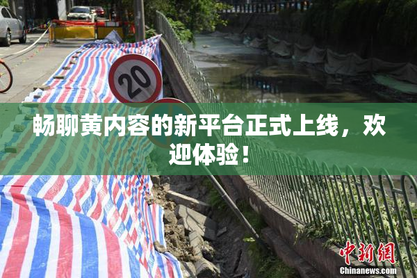 畅聊黄内容的新平台正式上线，欢迎体验！