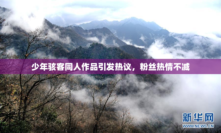 少年骇客同人作品引发热议，粉丝热情不减