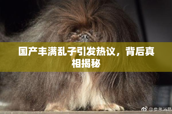 国产丰满乱子引发热议，背后真相揭秘