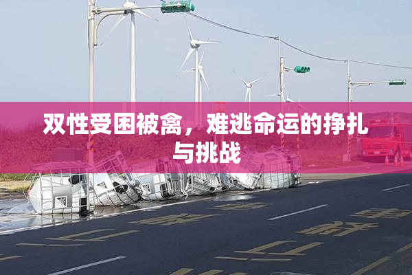 双性受困被禽，难逃命运的挣扎与挑战