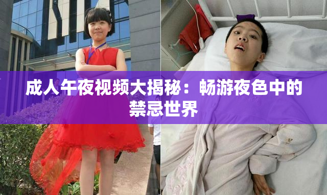 成人午夜视频大揭秘：畅游夜色中的禁忌世界