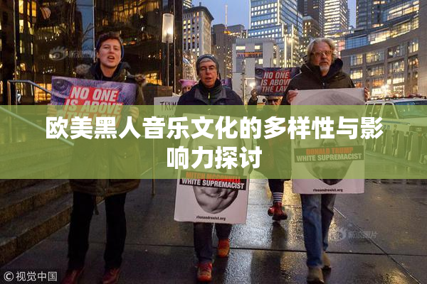 欧美黑人音乐文化的多样性与影响力探讨