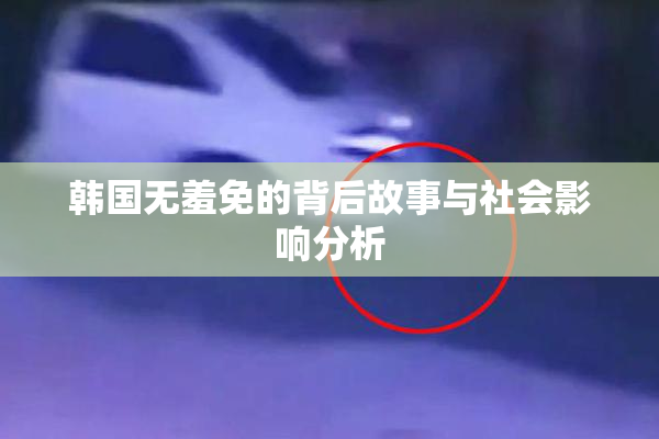 韩国无羞免的背后故事与社会影响分析