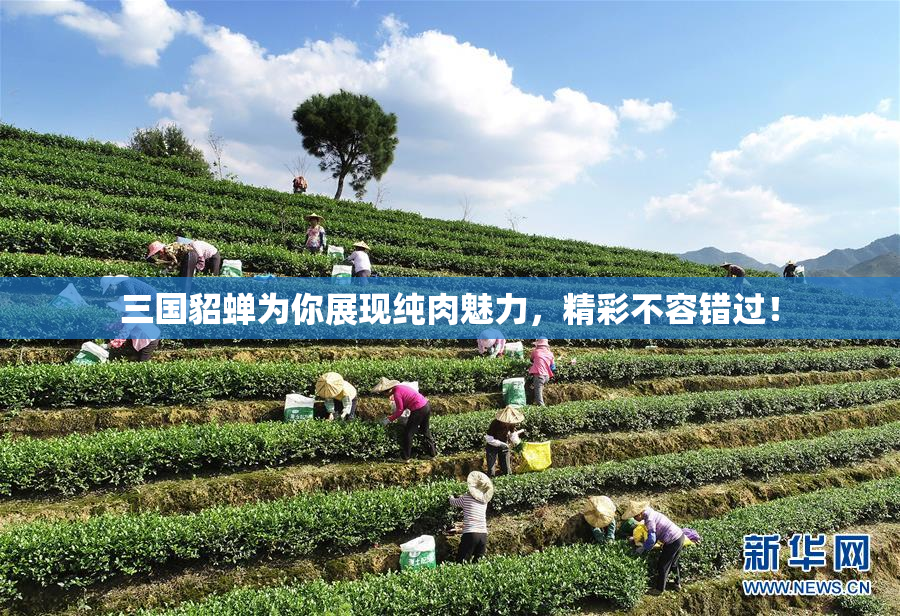 三国貂蝉为你展现纯肉魅力，精彩不容错过！