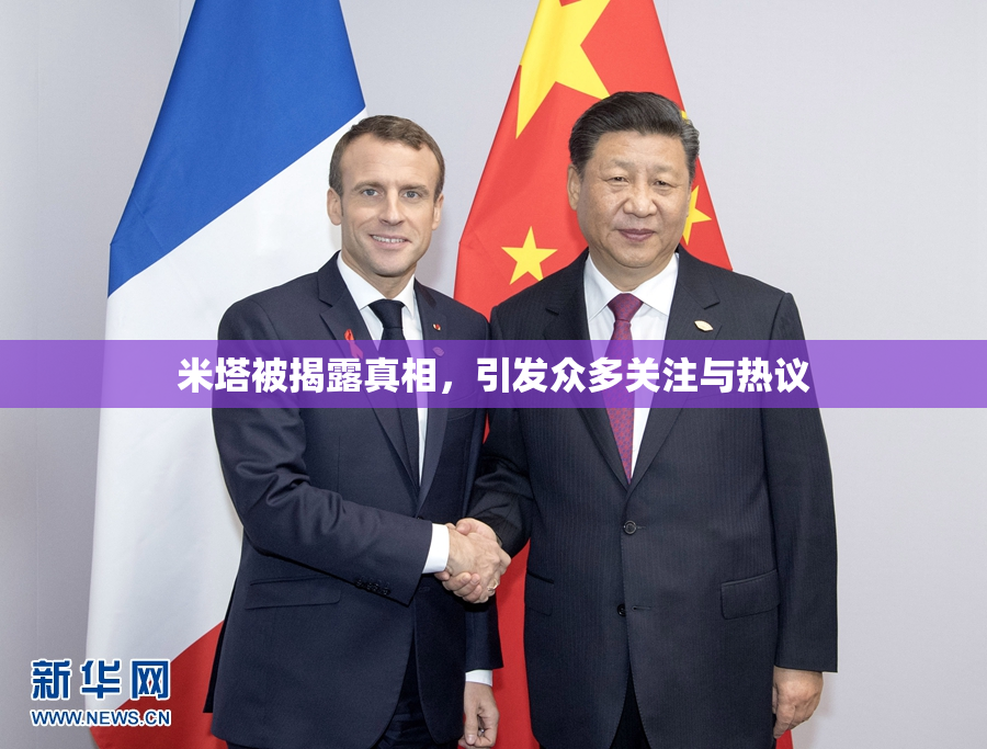 米塔被揭露真相，引发众多关注与热议