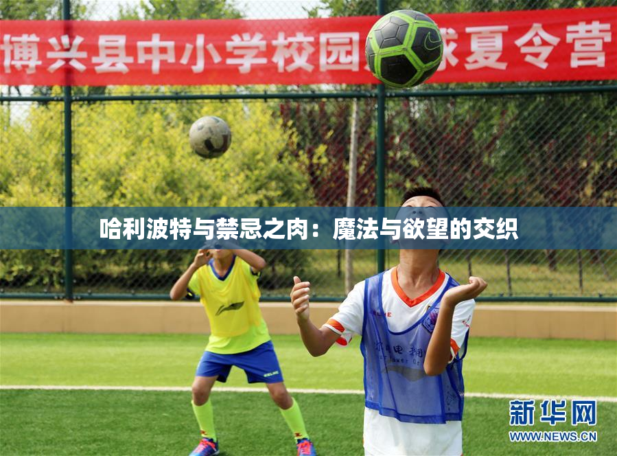 哈利波特与禁忌之肉：魔法与欲望的交织