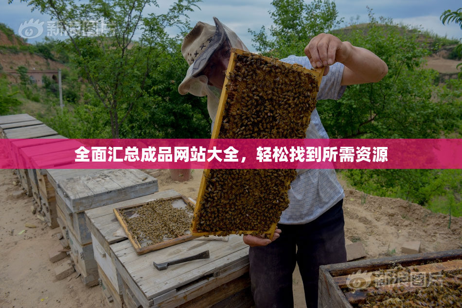 全面汇总成品网站大全，轻松找到所需资源
