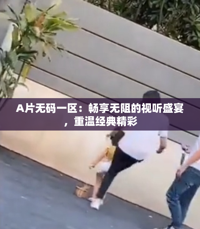 A片无码一区：畅享无阻的视听盛宴，重温经典精彩