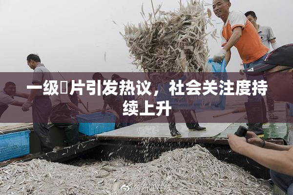 一级婬片引发热议，社会关注度持续上升
