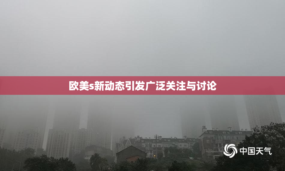 欧美s新动态引发广泛关注与讨论