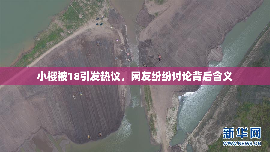 小樱被18引发热议，网友纷纷讨论背后含义