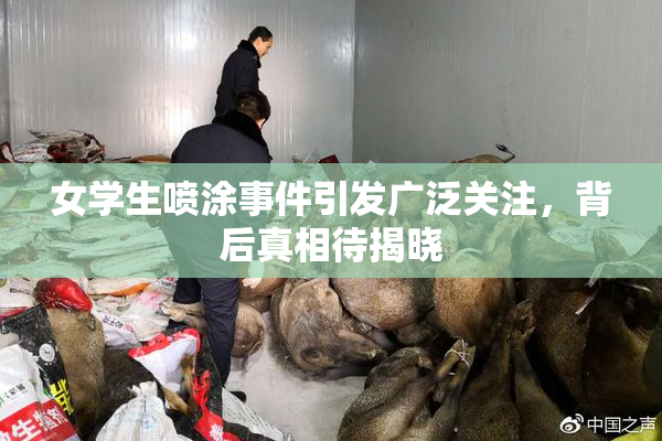 女学生喷涂事件引发广泛关注，背后真相待揭晓