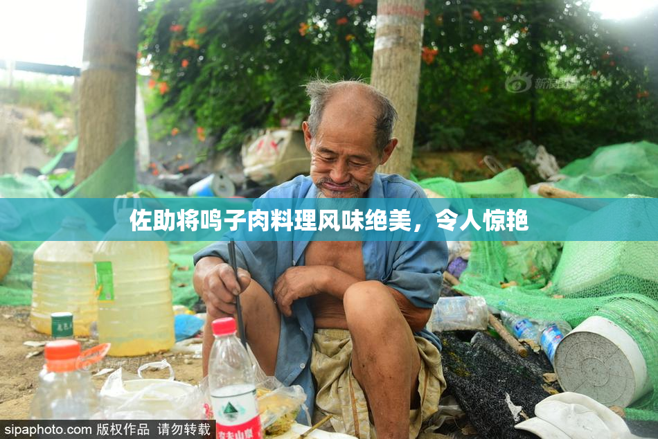 佐助将鸣子肉料理风味绝美，令人惊艳