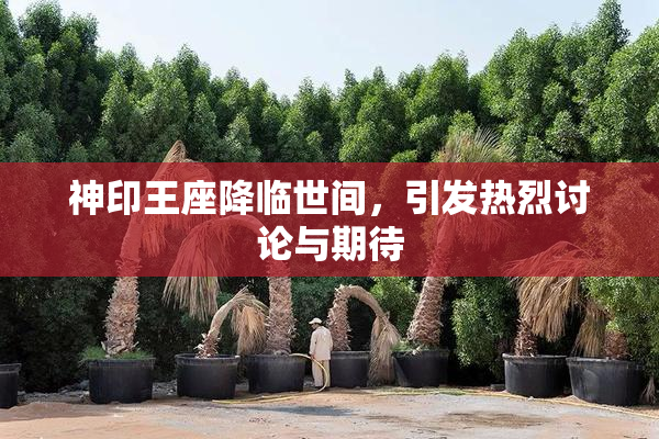 神印王座降临世间，引发热烈讨论与期待
