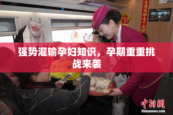 强势灌输孕妇知识，孕期重重挑战来袭