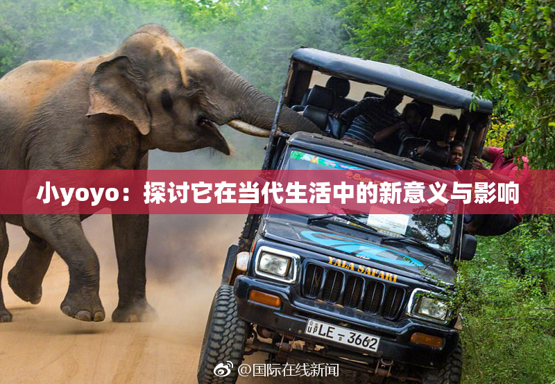 小yoyo：探讨它在当代生活中的新意义与影响