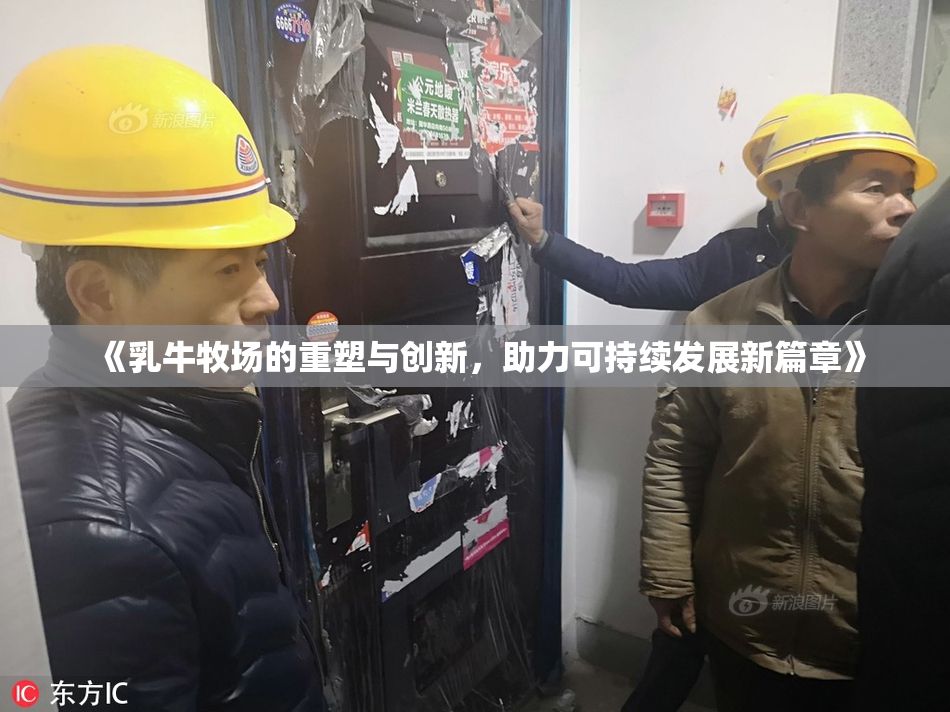 《乳牛牧场的重塑与创新，助力可持续发展新篇章》