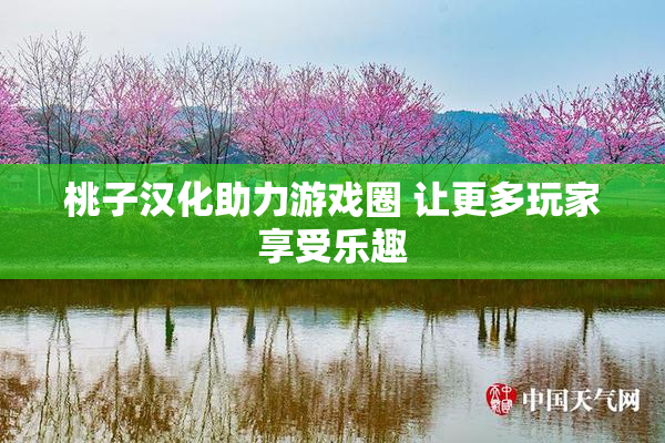 桃子汉化助力游戏圈 让更多玩家享受乐趣