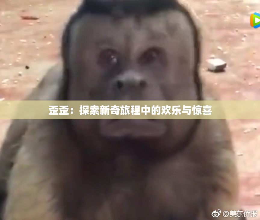 歪歪：探索新奇旅程中的欢乐与惊喜