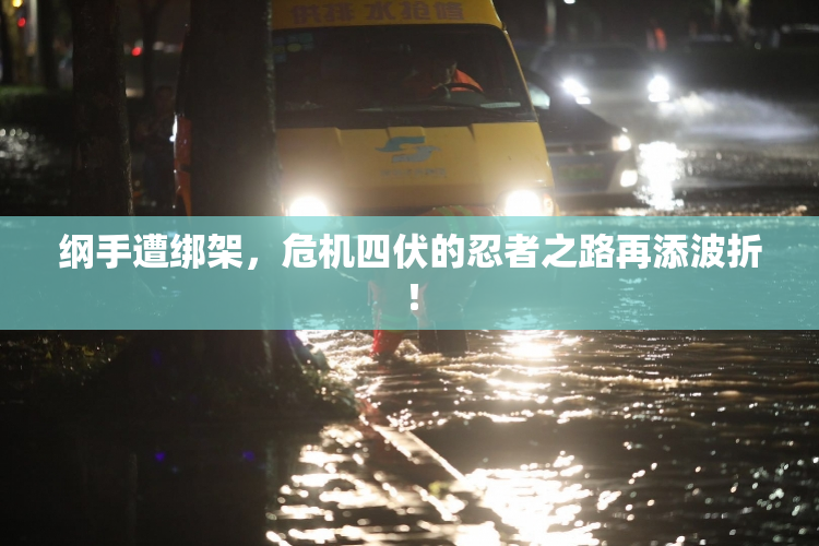 纲手遭绑架，危机四伏的忍者之路再添波折！
