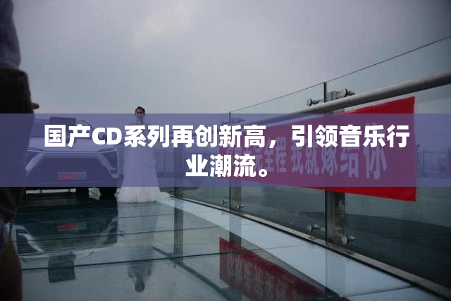 国产CD系列再创新高，引领音乐行业潮流。