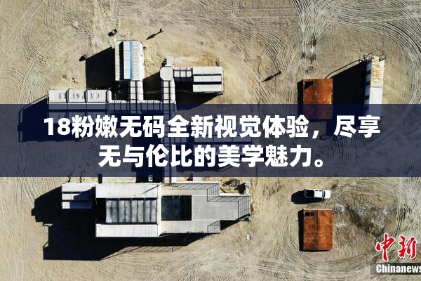 18粉嫩无码全新视觉体验，尽享无与伦比的美学魅力。