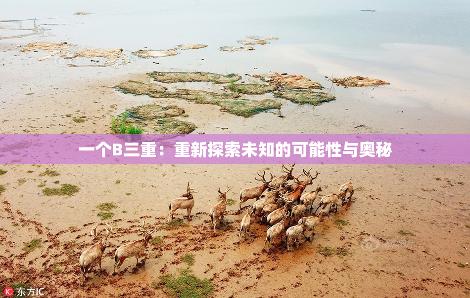 一个B三重：重新探索未知的可能性与奥秘