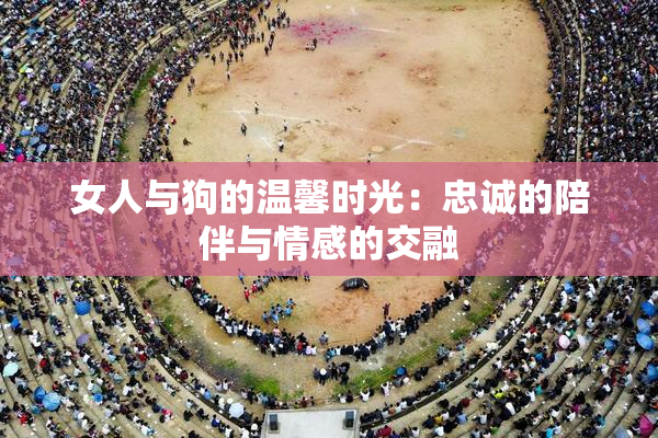 女人与狗的温馨时光：忠诚的陪伴与情感的交融