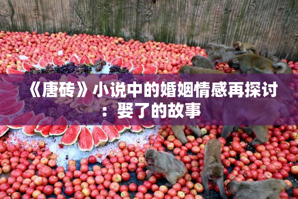 《唐砖》小说中的婚姻情感再探讨：娶了的故事