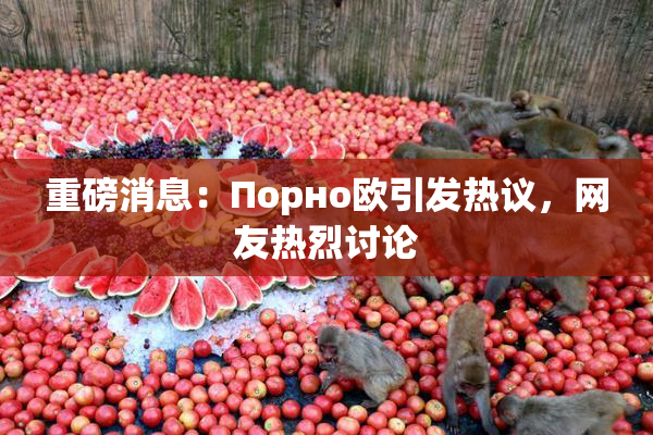 重磅消息：Порно欧引发热议，网友热烈讨论