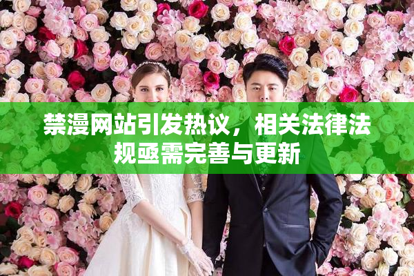 禁漫网站引发热议，相关法律法规亟需完善与更新