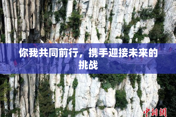 你我共同前行，携手迎接未来的挑战