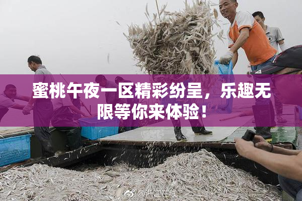 蜜桃午夜一区精彩纷呈，乐趣无限等你来体验！