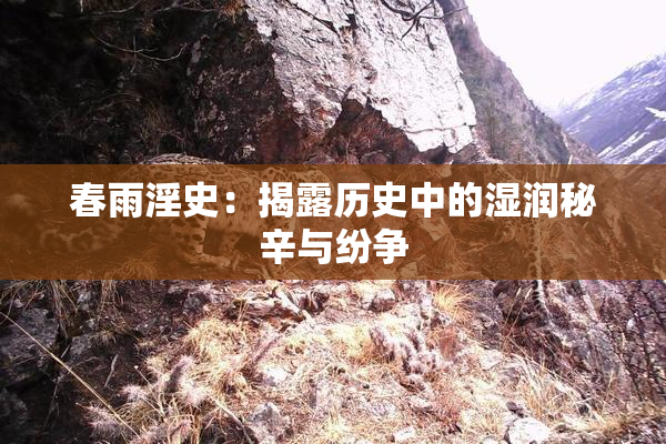 春雨淫史：揭露历史中的湿润秘辛与纷争